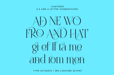 Type Ultimate - serif logo font
