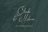 Noble Flourish - elegant font duo