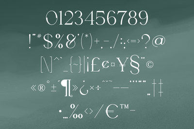 Seafont - serif typeface, 25 styles