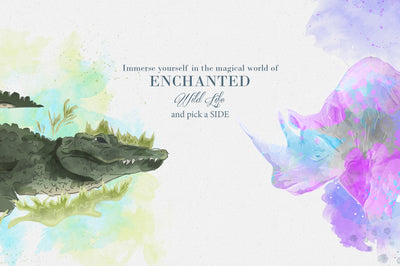 Enchanted Wild Life - Graphics