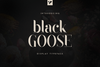 Black Goose - display typeface