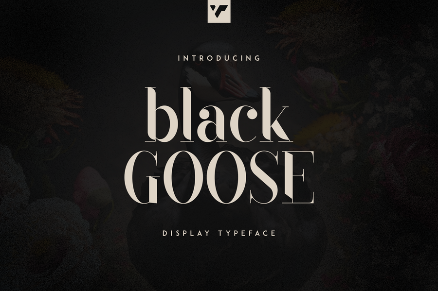 Black Goose - display typeface