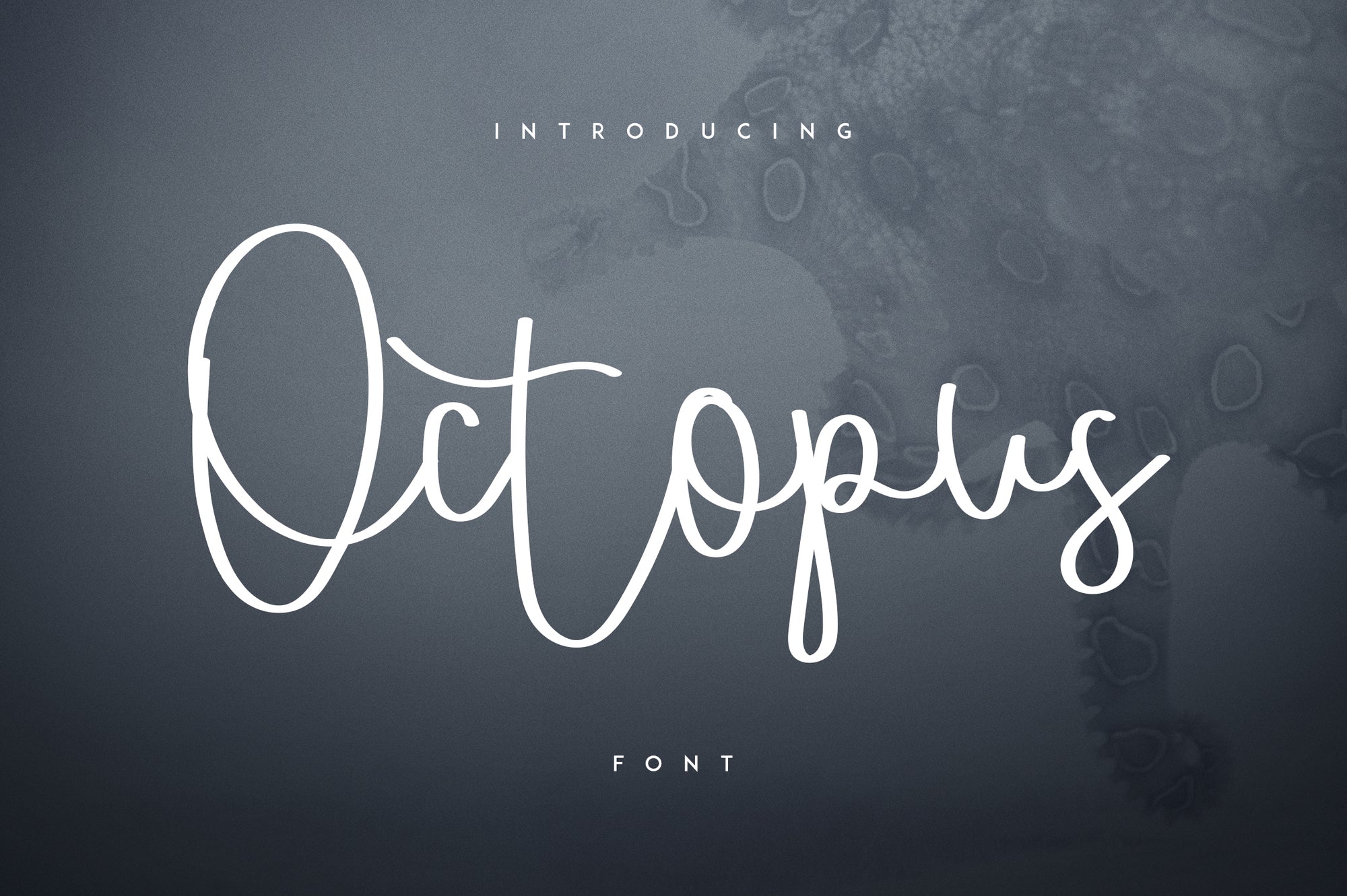 Massive Font Bundle - 197 fonts