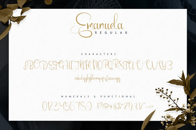 Emanuela Typeface and Designs