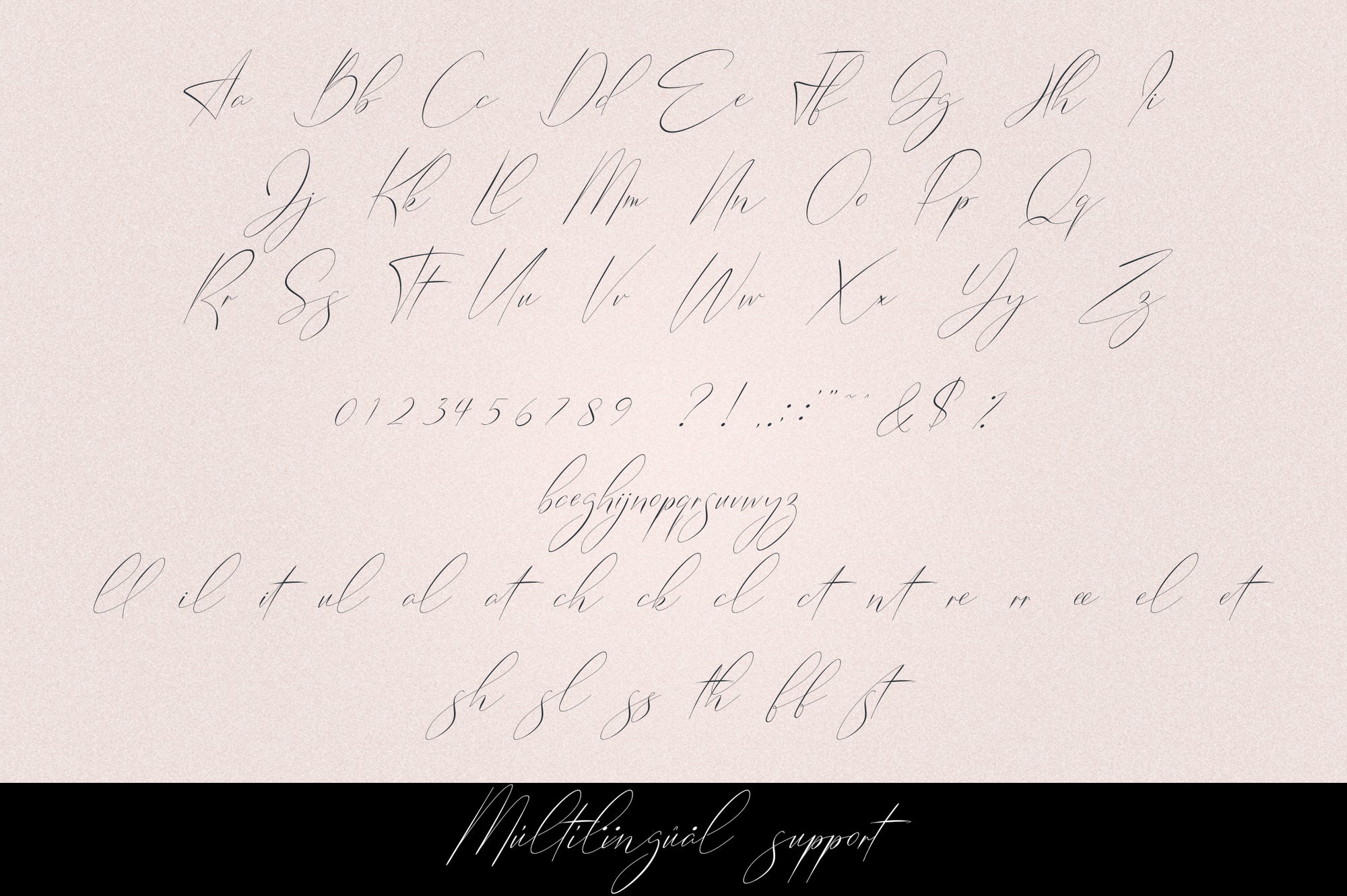 Belinda Script - Regular and Italic
