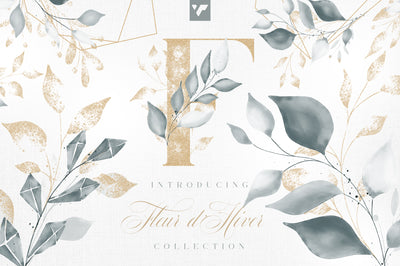 Fleur d'Hiver Graphic Collection