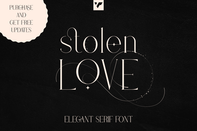 Stolen Love - Stylish Serif