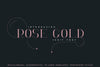 Rose Gold Serif font + 10 Logos