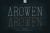 Arowen - Textured + Rough Fonts