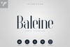 Baleine - Serif Typeface | 4 weights