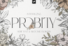 Probity - Creative serif font + more