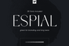 Espial typeface - 36 fonts
