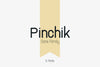 Pinchik Sans Family (5 fonts)