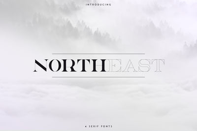 NorthEast - 4 serif fonts