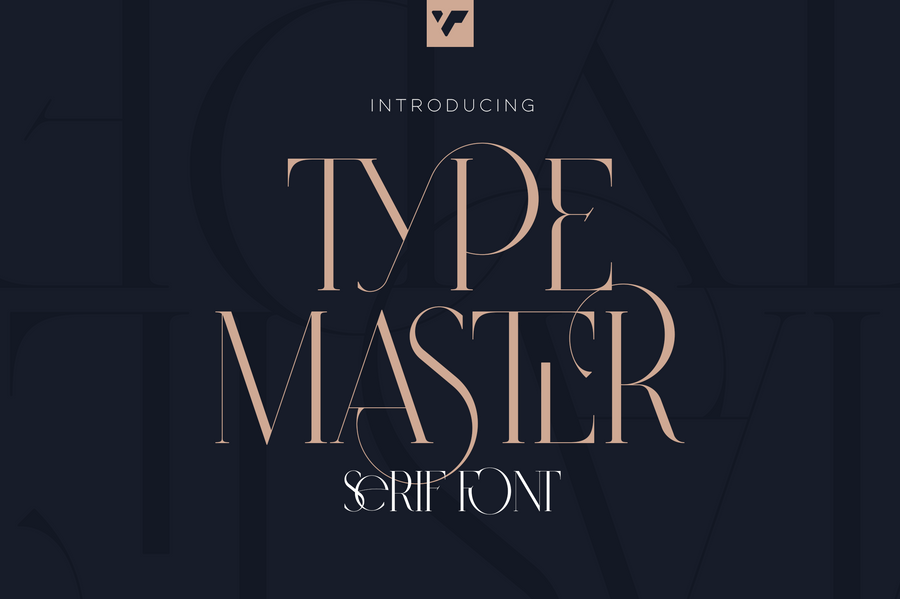 Type Master - ligature serif font