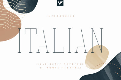 Italian Slab Serif - 24 fonts + More
