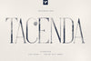 Tacenda - Textured + Rough Fonts