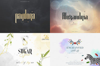 Art Collection | 16 Fonts + Extra