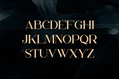 Papillon - Handcrafted Serif Font