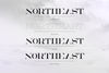 NorthEast - 4 serif fonts