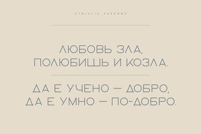 Ablation - Sans Serif Typeface