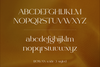 Rowan typeface - 116 styles & script
