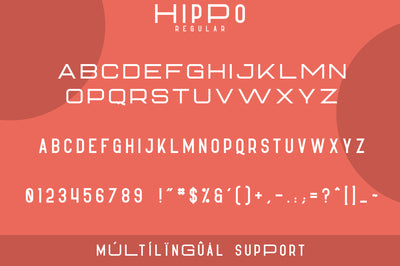 Hippo Sans Serif | 3 styles