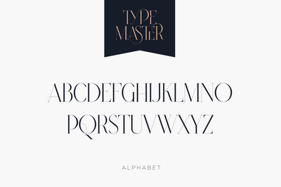 Type Master - ligature serif font