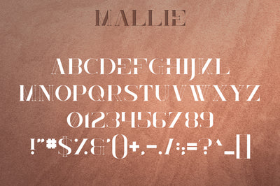 Mallie - Fusion font