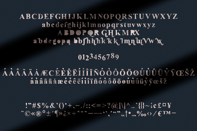 Oldink - handwritten serif typeface