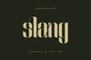 Slang - Ligature Font
