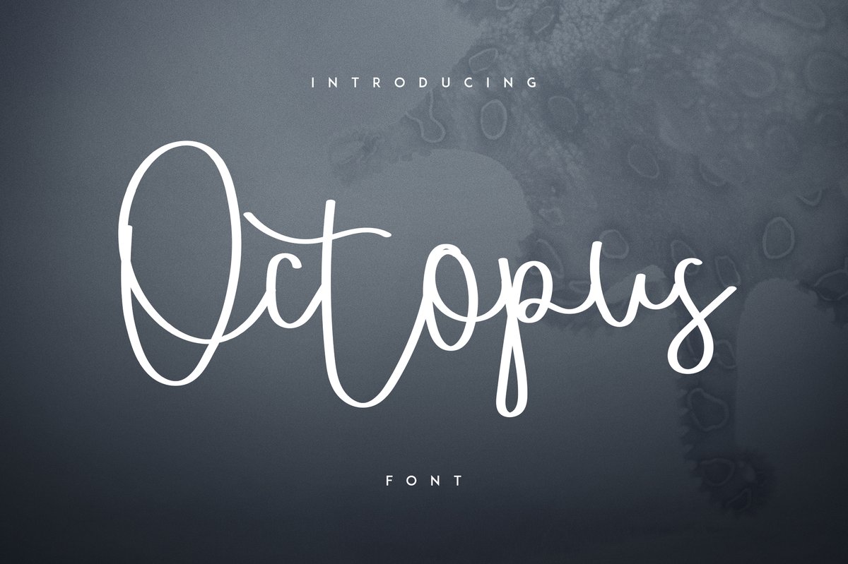 Massive Font Bundle - 197 fonts