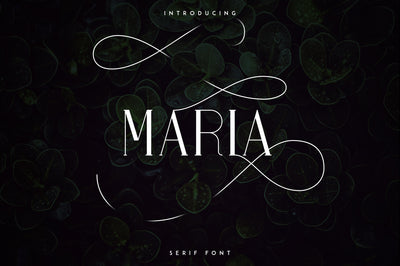 Massive Font Bundle - 197 fonts