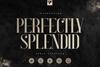 Perfectly Splendid Typeface - 5 font
