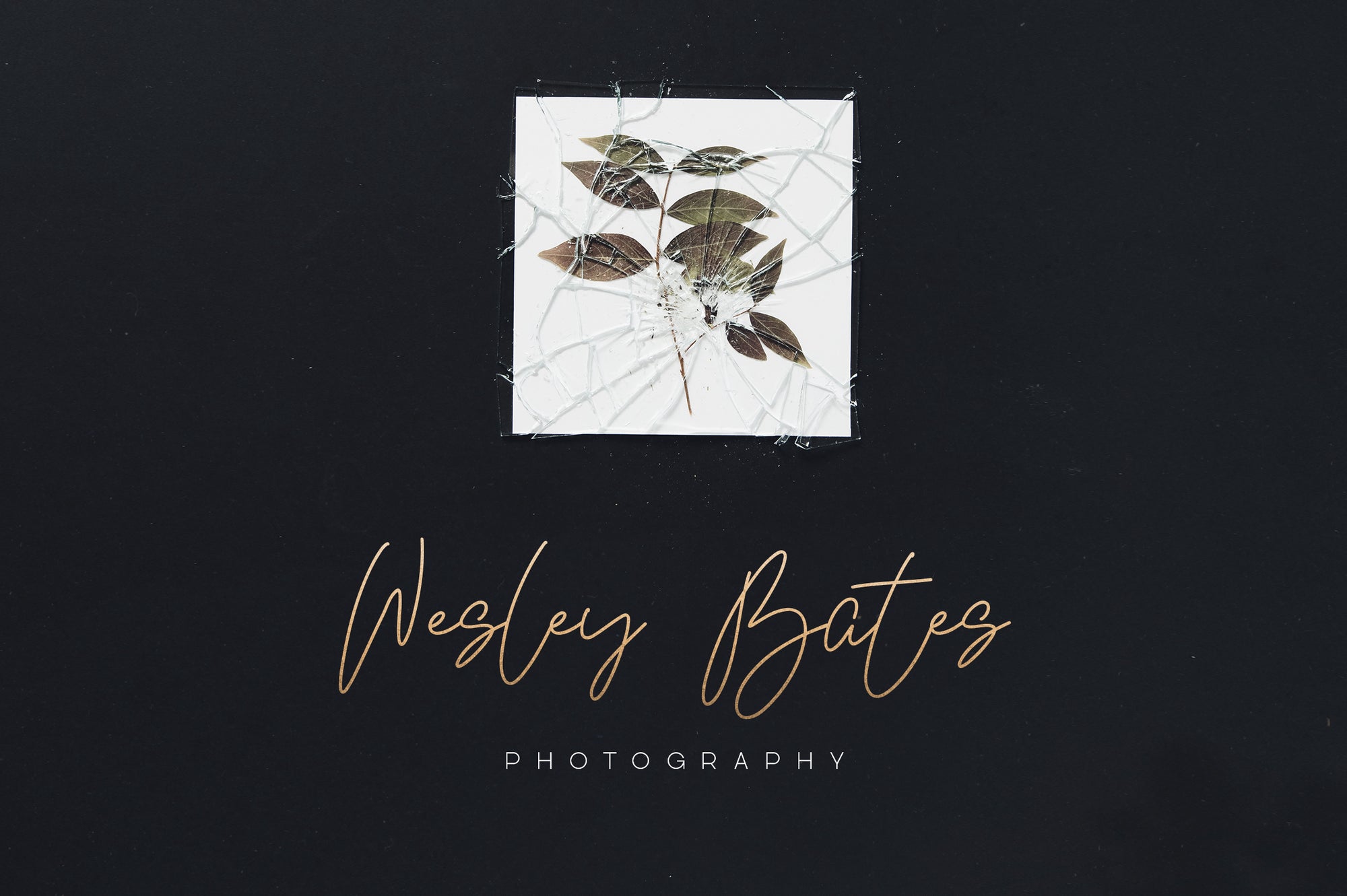 Kindel - Completed Collection