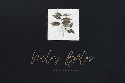 Kindel - Completed Collection