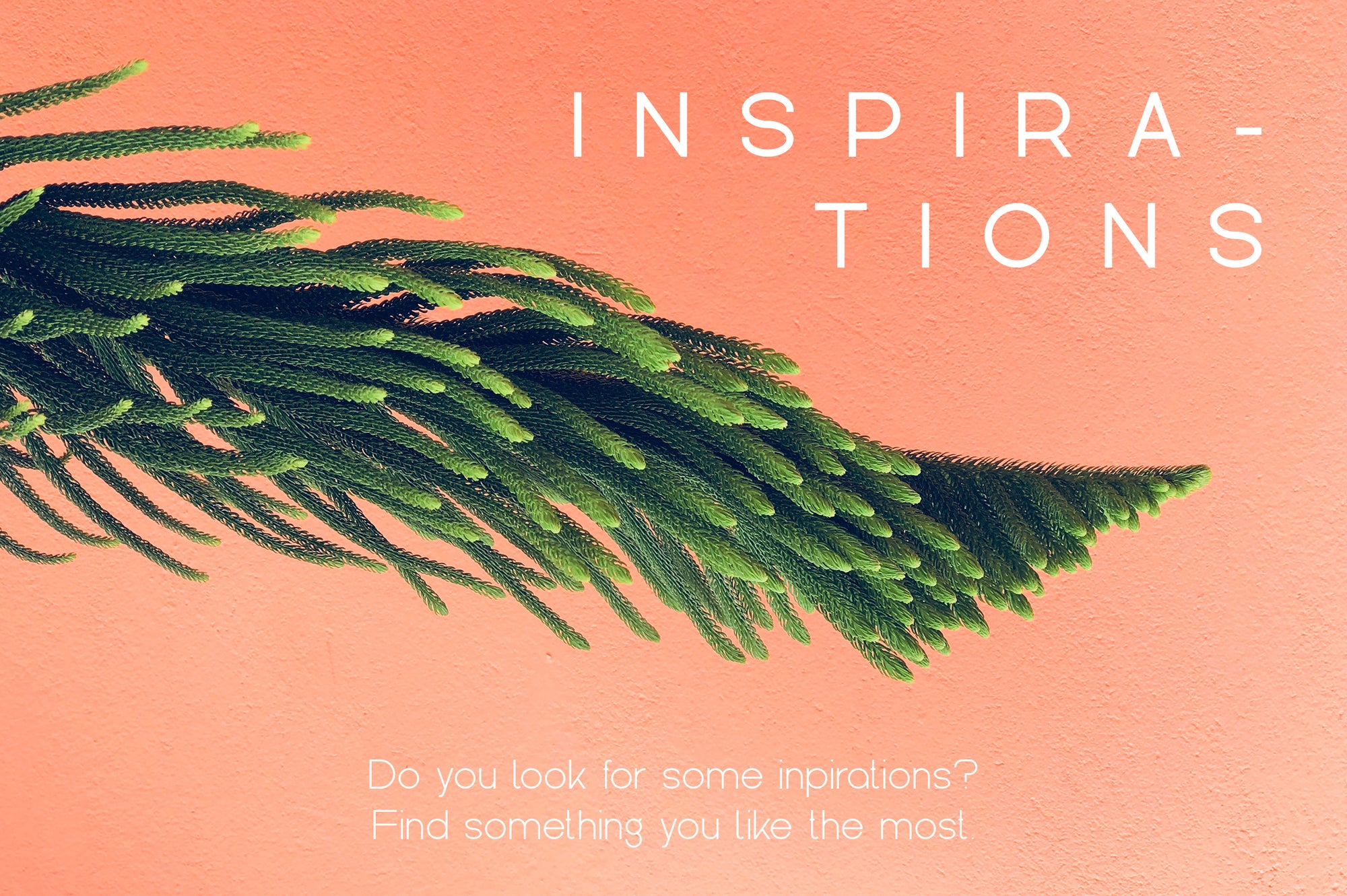 Kindel - Completed Collection