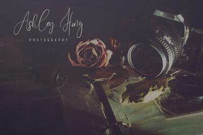 Sunflower - Font Duo