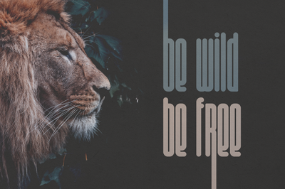 Aisling - Creative Display Typeface